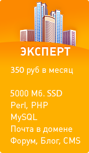 Хостинг сайтов и регистрация доменов в Красноярске - эксперт